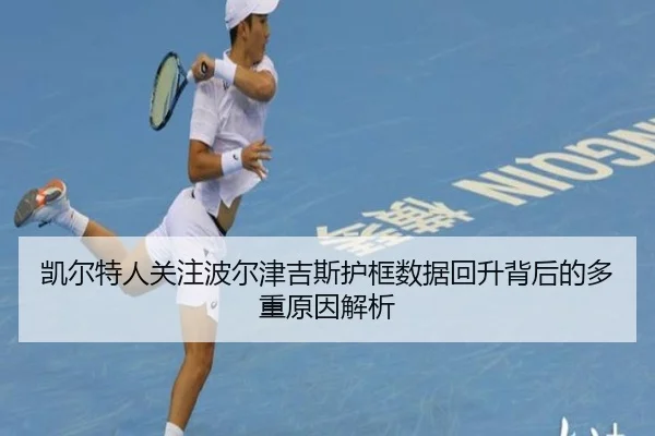 凯尔特人关注波尔津吉斯护框数据回升背后的多重原因解析